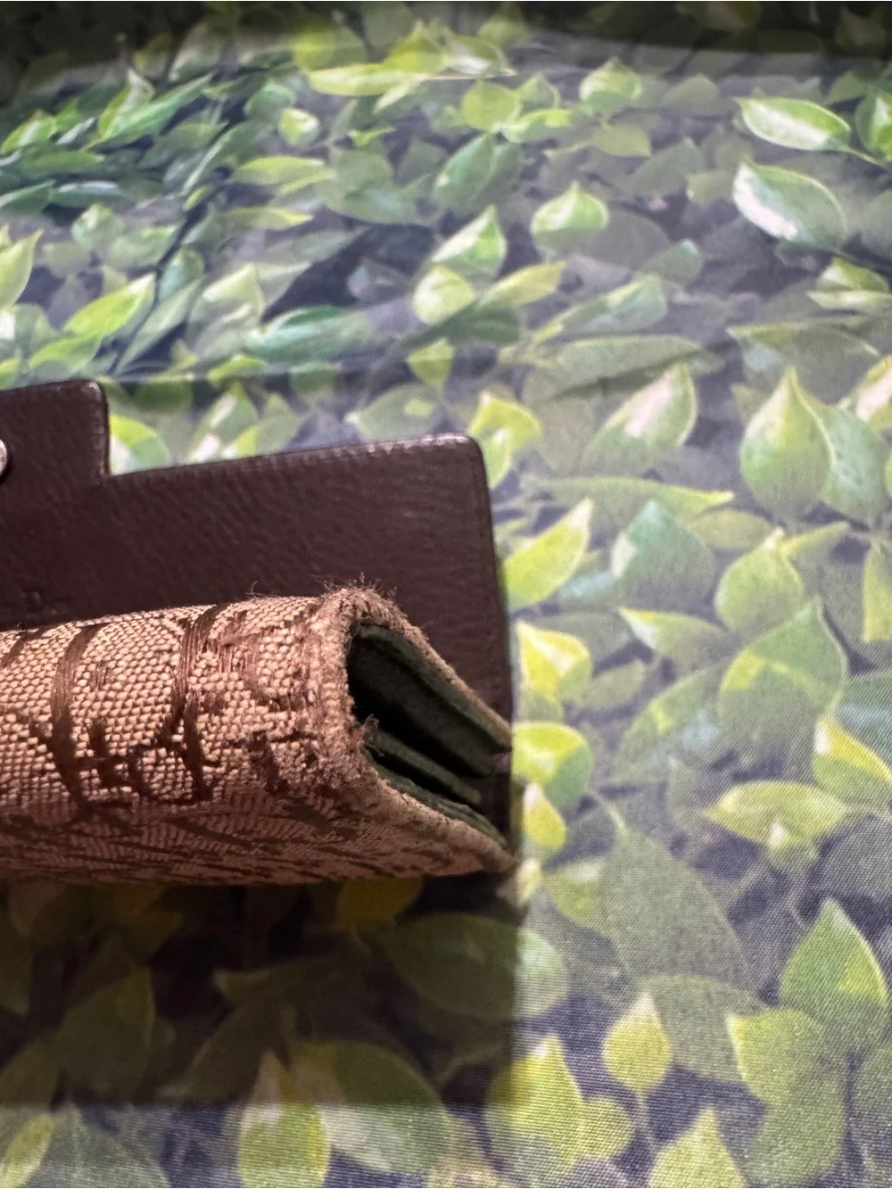 Dior long Wallet